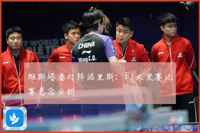 维斯塔潘对阵诺里斯：F1大奖赛比赛悬念分析